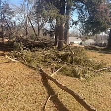 Safe-Again-Storm-Debris-Cleanup-In-Oxford-MS 11